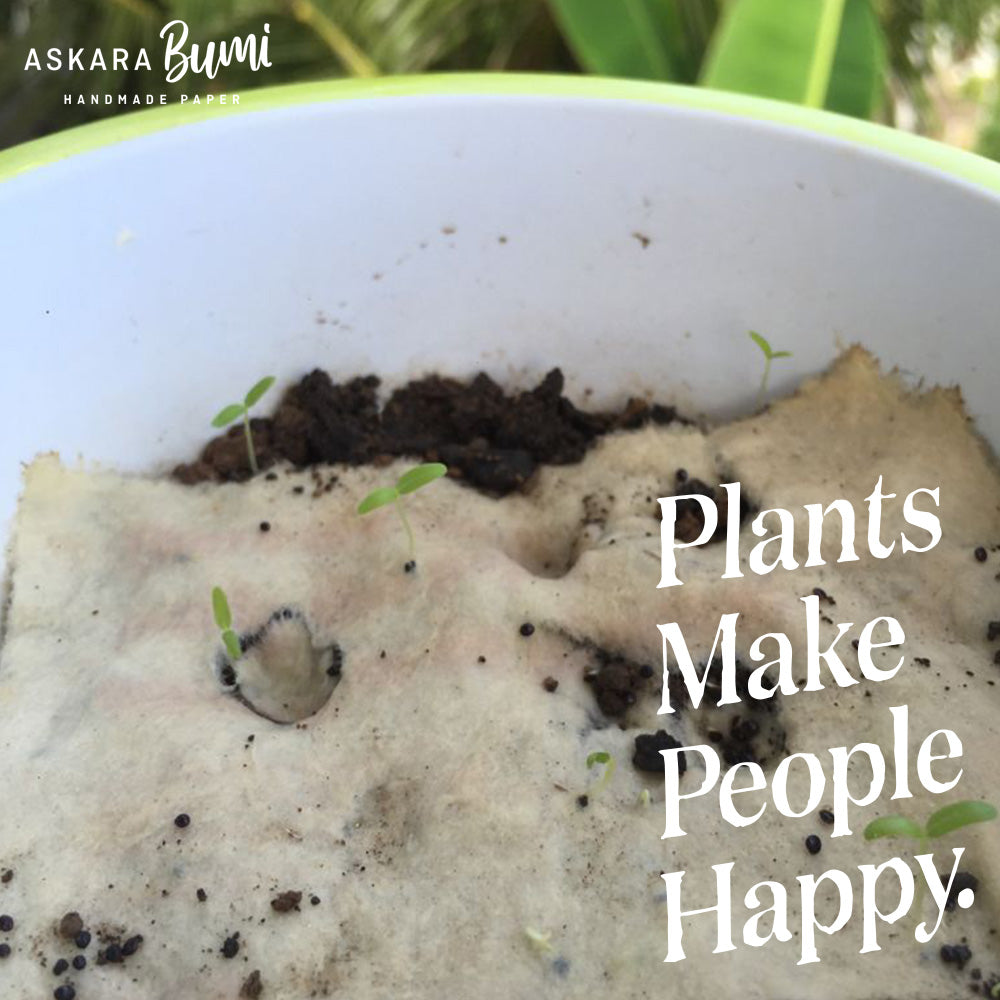 Kertas Benih Plantable Seed Paper